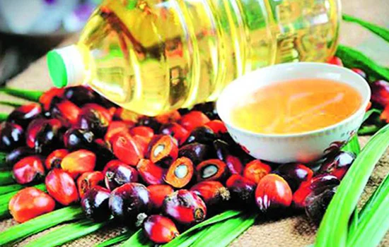 Non-Edible Division &ndash; ratanjot, karanj and mahua oils